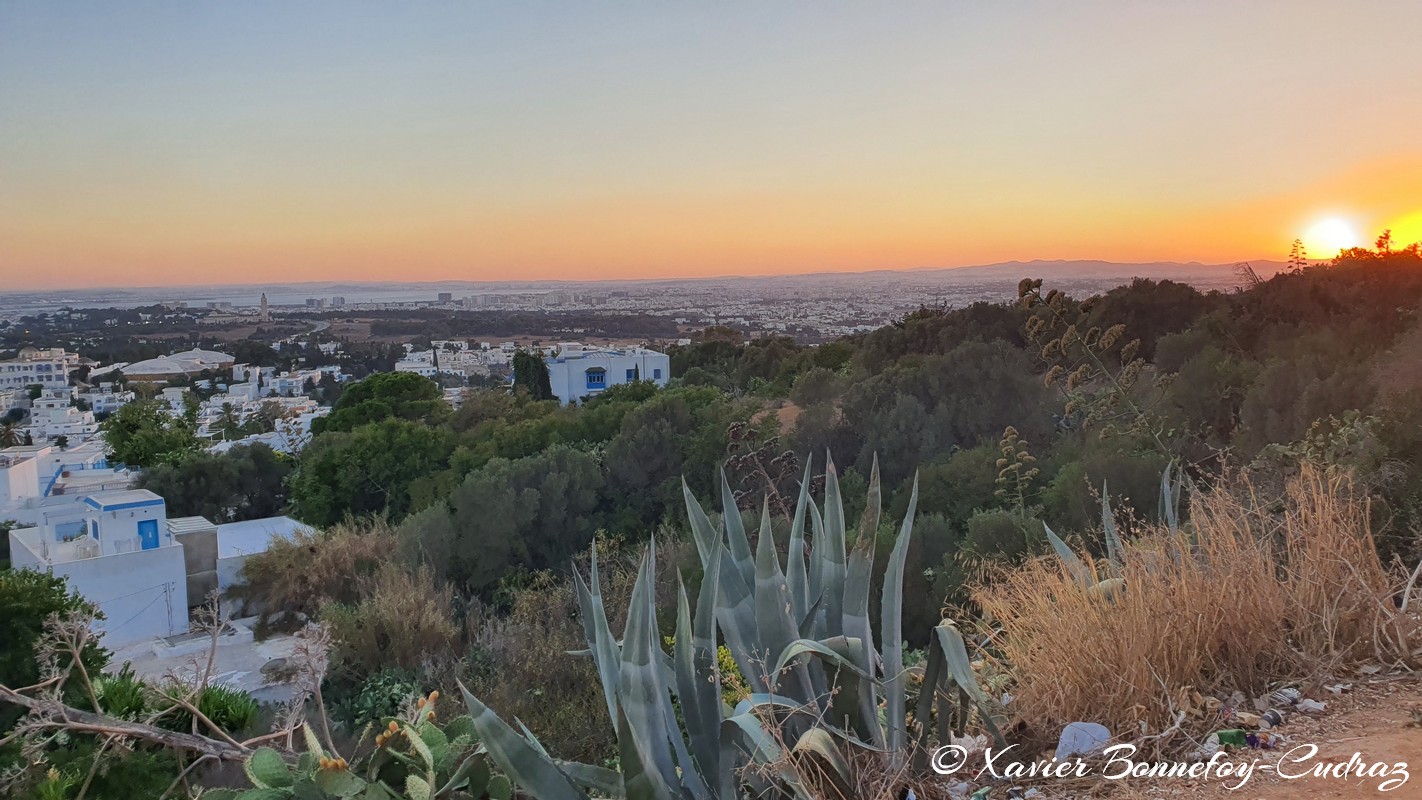 Sidi Bou Sa&iuml;d - Sunset
Mots-clés: geo:lat=36.87221253 geo:lon=10.34806720 geotagged Sidi Bou Sa&iuml;d TUN Tūnis Tunisie Tunis Carthage sunset Golden Hour Lumiere