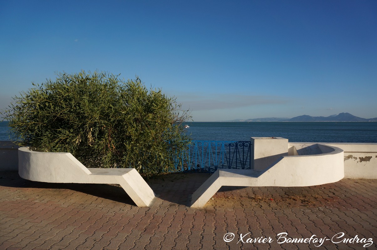 Sidi Bou Sa&iuml;d
Mots-clés: geo:lat=36.86556082 geo:lon=10.34698097 geotagged Sidi Bou Sa&iuml;d TUN Tūnis Tunisie Tunis Carthage Mer Architecture