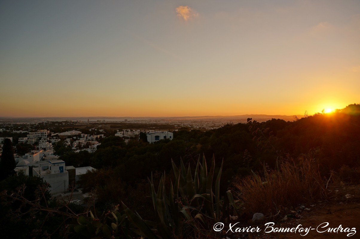 Sidi Bou Sa&iuml;d - Coucher de Soleil
Mots-clés: geo:lat=36.87218138 geo:lon=10.34813061 geotagged Sidi Bou Sa&iuml;d TUN Tūnis Tunisie Tunis Carthage sunset Golden Hour