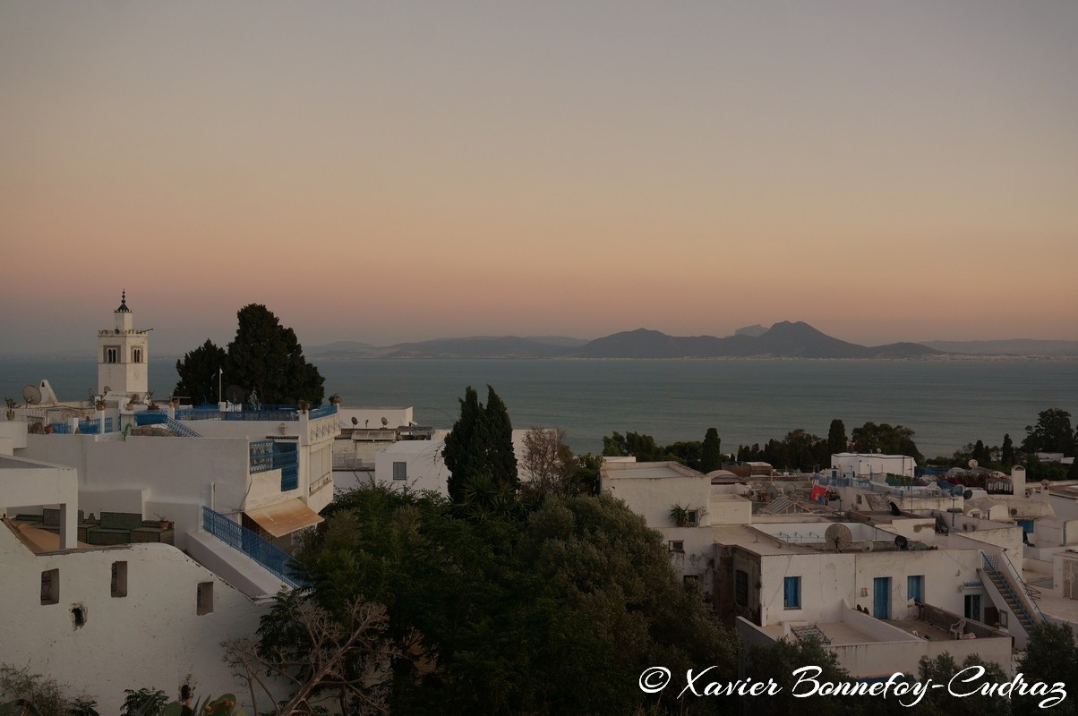 Sidi Bou Sa&iuml;d
Mots-clés: geo:lat=36.87218138 geo:lon=10.34813061 geotagged Sidi Bou Sa&iuml;d TUN Tūnis Tunisie Tunis Carthage Mer Mosque Blue Hour crepuscule Dusk