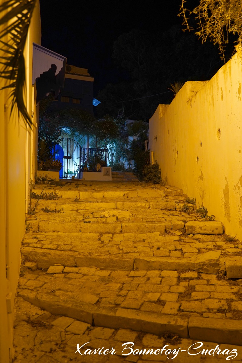 Sidi Bou Sa&iuml;d by Night
Mots-clés: geo:lat=36.87180685 geo:lon=10.34916468 geotagged Sidi Bou Sa&iuml;d TUN Tūnis Tunisie Tunis Carthage Nuit
