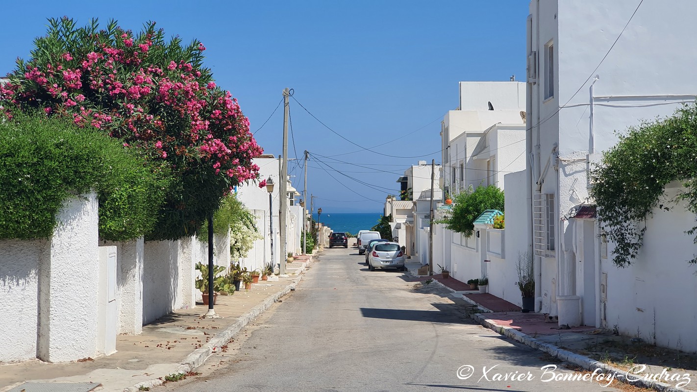 Carthage
Mots-clés: Carthage Byrsa geo:lat=36.84842373 geo:lon=10.32834422 geotagged TUN Tunisie Tunis Carthage Mer