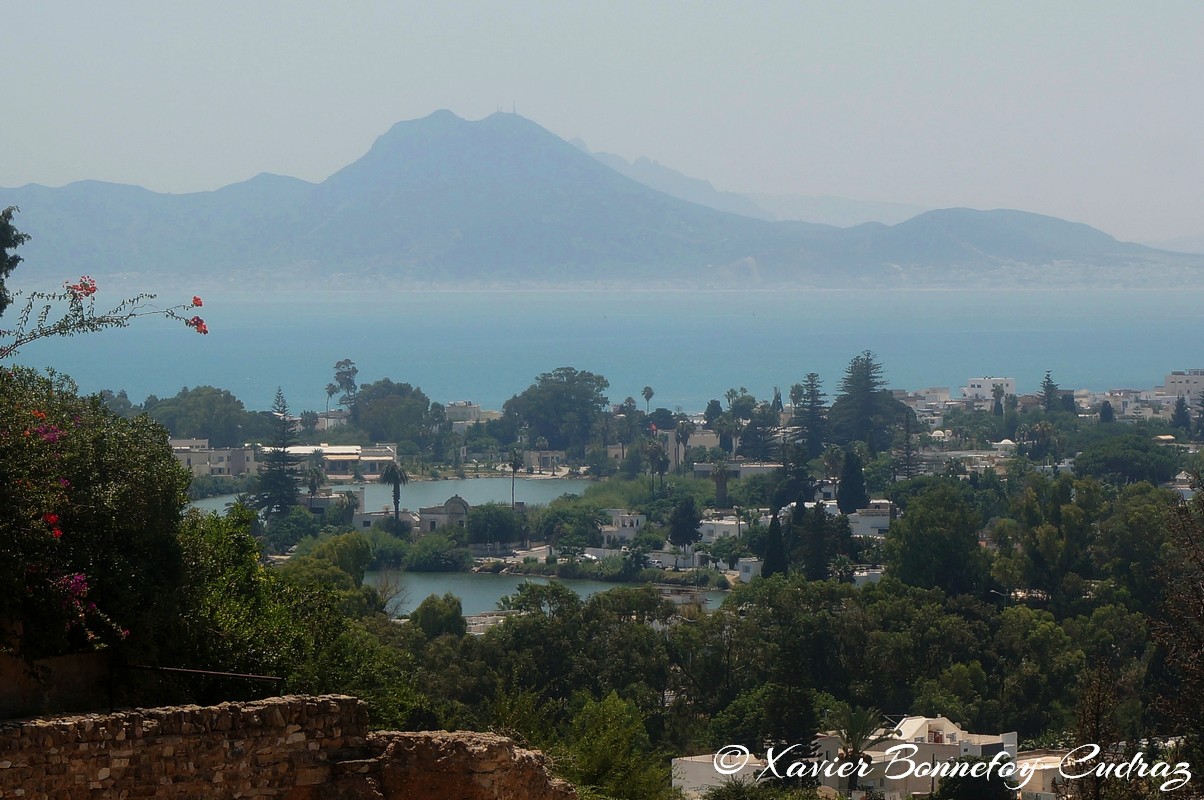 Carthage - Quartier Punique de Byrsa
Mots-clés: Carthage Byrsa geo:lat=36.85240347 geo:lon=10.32418738 geotagged TUN Tunisie Tunis Carthage Ruines romaines Quartier Punique de Byrsa Mer