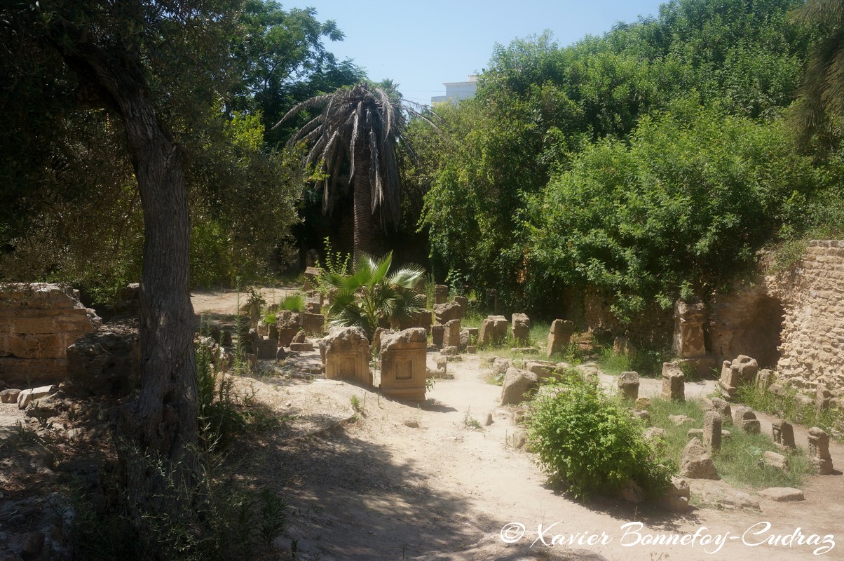 Carthage - Tophet
Mots-clés: geo:lat=36.84128263 geo:lon=10.32287279 geotagged Salammb TUN Tunisie Tunis Carthage Ruines romaines Tophet de Carthage