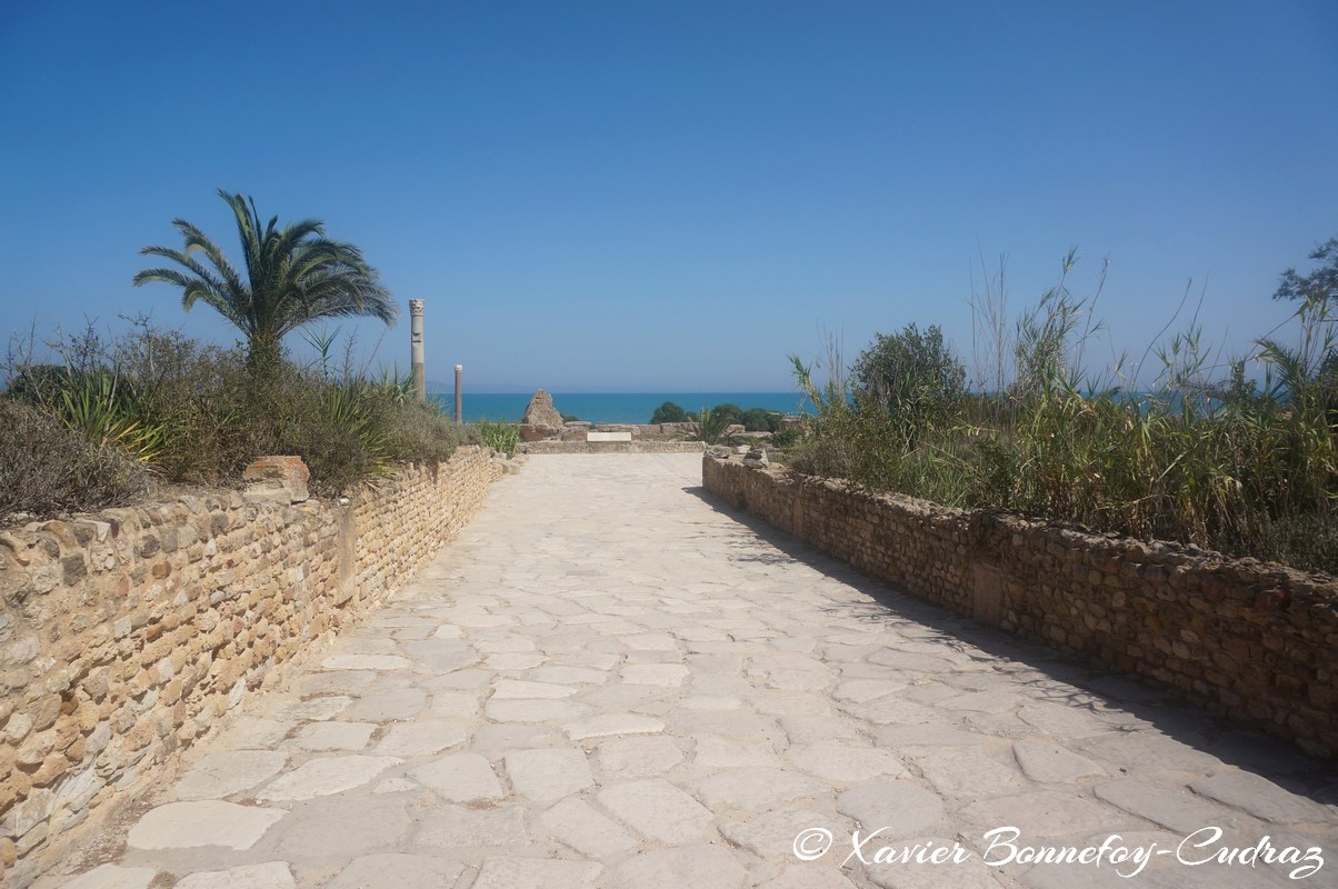 Carthage - Thermes d'Antonin
Mots-clés: Exarchate of Africa (Division of the Byzantine Empire) geo:lat=36.85497894 geo:lon=10.33385132 geotagged TUN Tunisie Tunis Carthage Ruines romaines Thermes d'Antonin