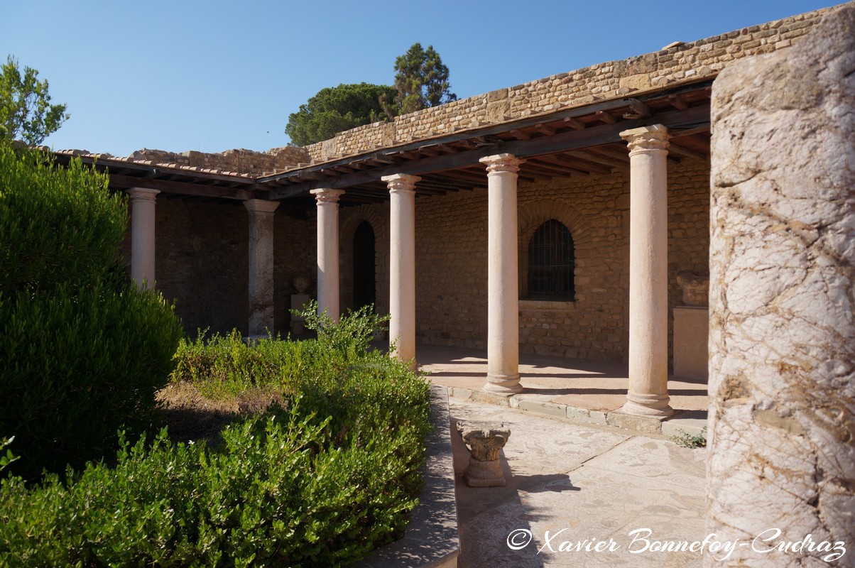 Carthage - Villas Romaines - Villa de La Voliere
Mots-clés: Exacharte of Africa (Division of the Byzantine Empire) geo:lat=36.85779818 geo:lon=10.33135057 geotagged TUN Tunisie Tunis Carthage Ruines romaines Villas Romaines
