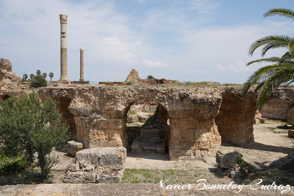 Carthage - Thermes d'Antonin
Mots-clés: Exarchate of Africa (Division of the Byzantine Empire) geo:lat=36.85453137 geo:lon=10.33447891 geotagged TUN Tūnis Tunisie Tunis patrimoine unesco Ruines Ruines romaines Thermes d'Antonin