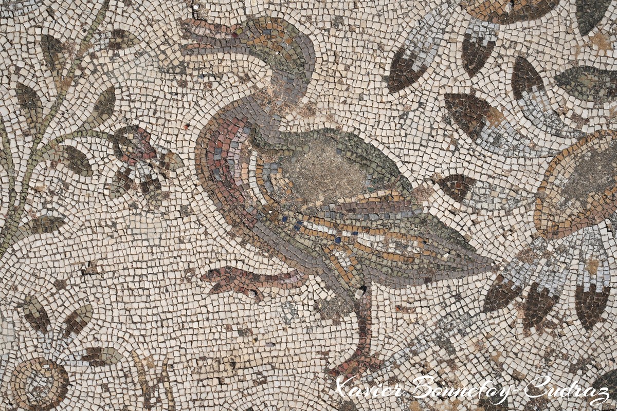 Carthage - Villas Romaines - Villa de La Voliere
Mots-clés: Exacharte of Africa (Division of the Byzantine Empire) geo:lat=36.85784288 geo:lon=10.33130854 geotagged TUN Tūnis Tunisie Tunis patrimoine unesco Ruines Ruines romaines Villas Romaines Mosaique Villa de La Voliere