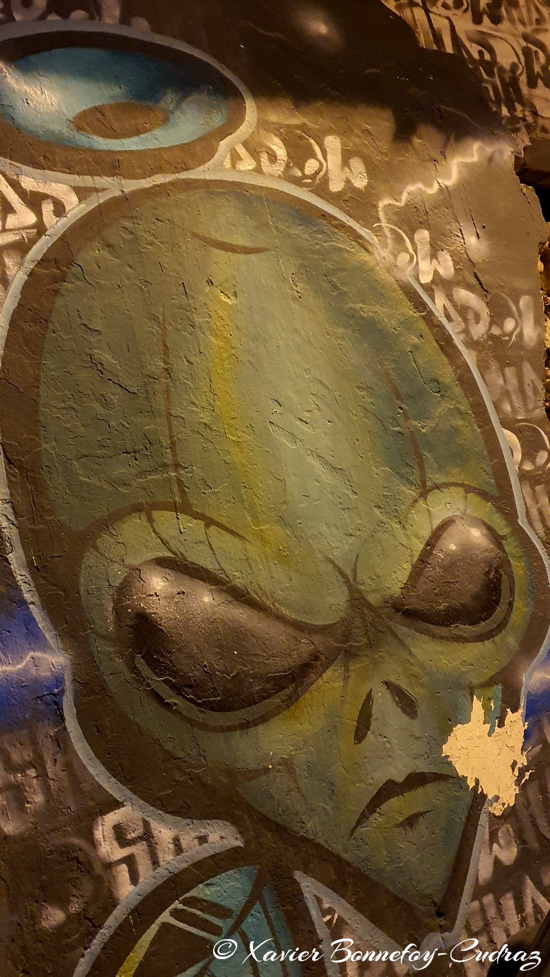 Tunis - Street Art
Mots-clés: geo:lat=36.80455014 geo:lon=10.18208786 geotagged Medina TUN Tunisie Tunis Graffiti