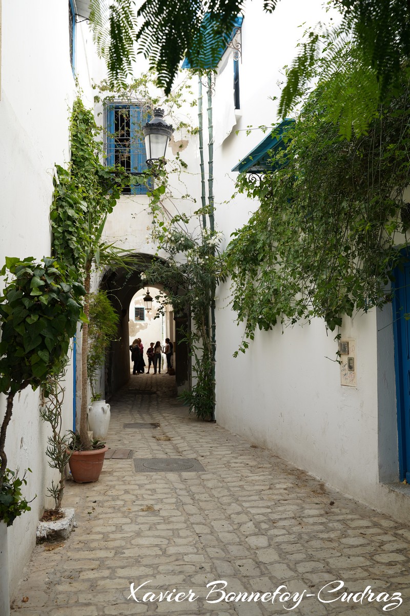 Tunis - Medina
Mots-clés: geo:lat=36.79614107 geo:lon=10.17010510 geotagged Tourbet El Bey TUN Tūnis Tunisie Medina patrimoine unesco