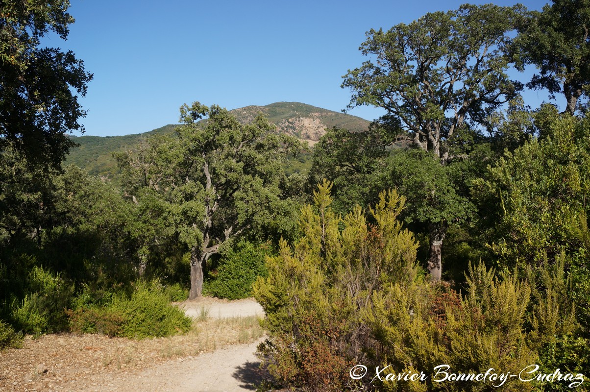 Ain Draham - Fernana
Mots-clés: geo:lat=36.71850737 geo:lon=8.72812940 geotagged Jundūbah Sidi Ahmed TUN Tunisie Jendouba Ain Draham Fernana Arbres