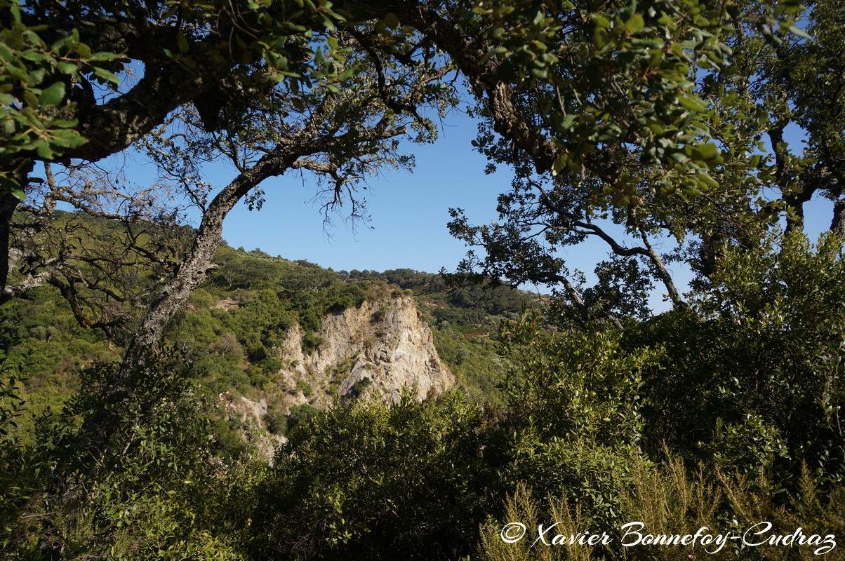 Ain Draham - Fernana
Mots-clés: geo:lat=36.71946859 geo:lon=8.73179738 geotagged Jundūbah Sidi Ahmed TUN Tunisie Jendouba Ain Draham Fernana Arbres