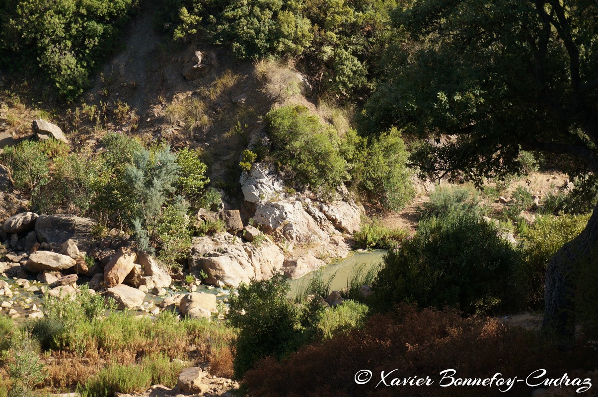 Ain Draham - Fernana
Mots-clés: geo:lat=36.72060100 geo:lon=8.73314457 geotagged Jundūbah Sidi Ahmed TUN Tunisie Jendouba Ain Draham Fernana Arbres