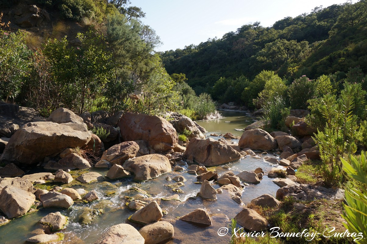 Ain Draham - Fernana
Mots-clés: geo:lat=36.72019945 geo:lon=8.73339641 geotagged Jundūbah Sidi Ahmed TUN Tunisie Jendouba Ain Draham Fernana Arbres Riviere
