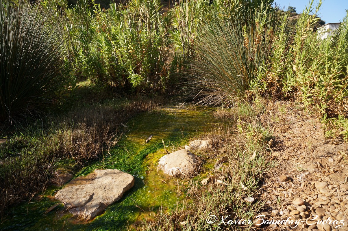 Ain Draham - Fernana
Mots-clés: geo:lat=36.72019992 geo:lon=8.73339092 geotagged Jundūbah Sidi Ahmed TUN Tunisie Jendouba Ain Draham Fernana Arbres Riviere