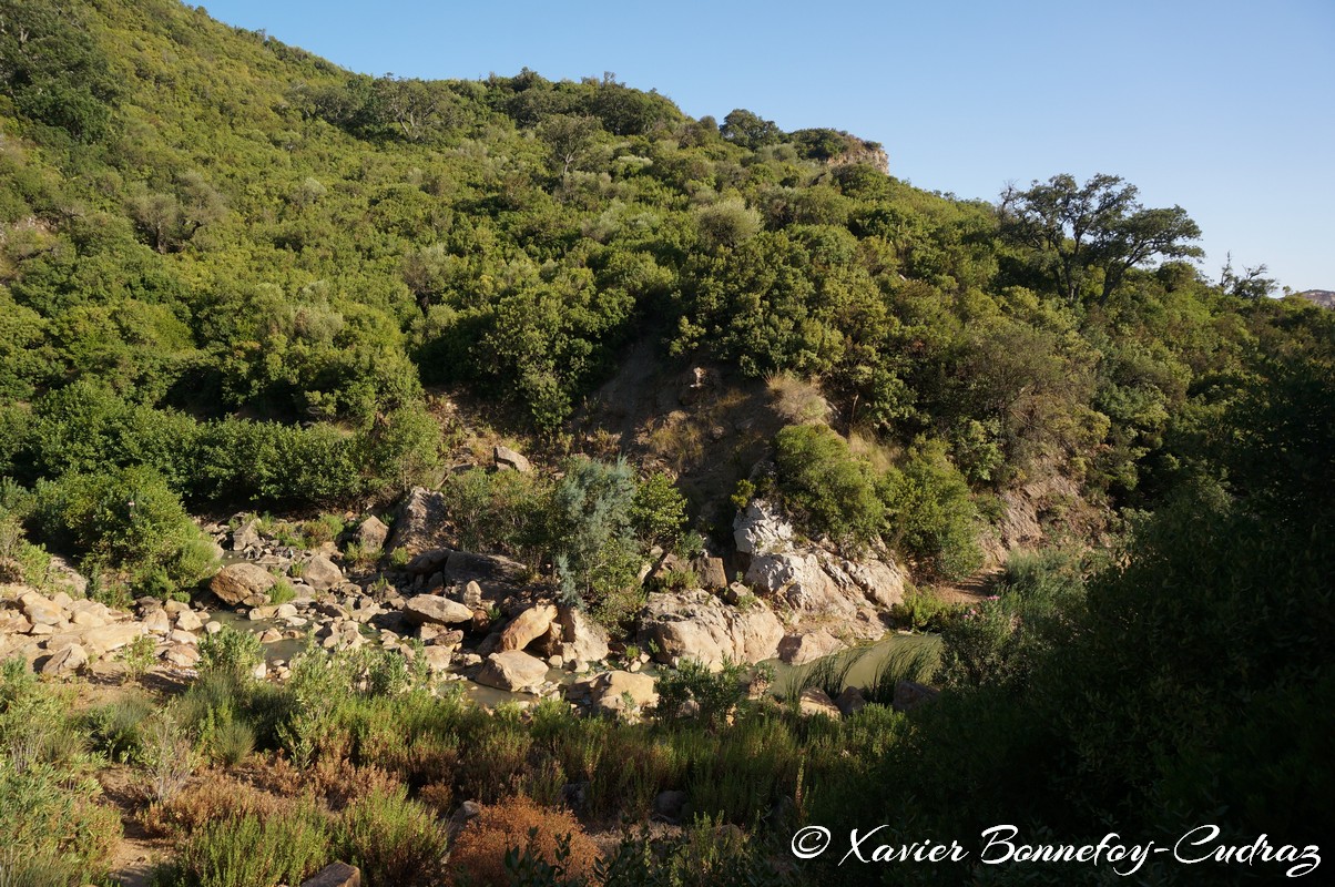 Ain Draham - Fernana
Mots-clés: geo:lat=36.72032000 geo:lon=8.73315900 geotagged Jundūbah Sidi Ahmed TUN Tunisie Jendouba Ain Draham Fernana Arbres Riviere