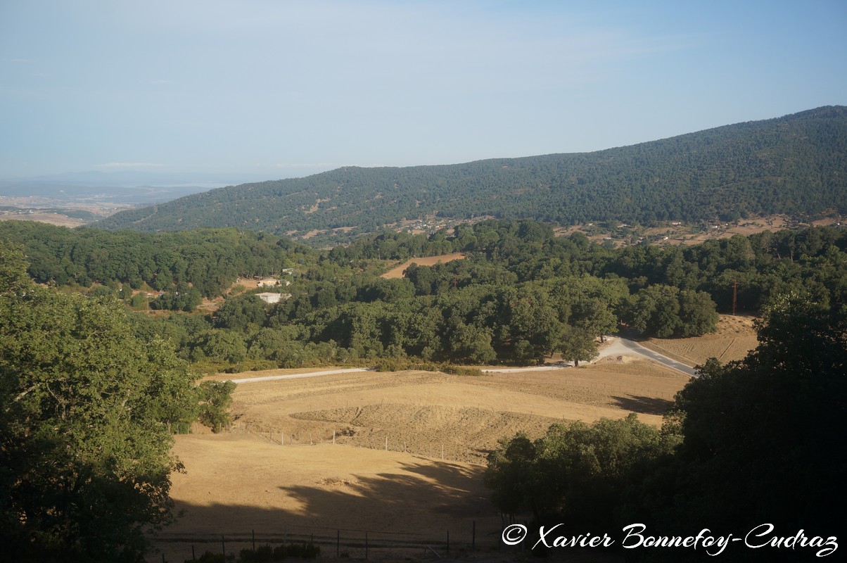 Ain Draham
Mots-clés: geo:lat=36.72905083 geo:lon=8.67262209 geotagged Jundūbah Les Ch&ecirc;nes TUN Tunisie Jendouba Ain Draham Arbres paysage