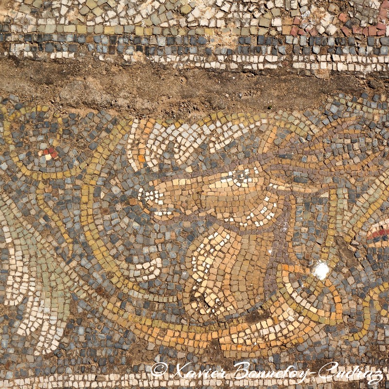 Bulla Regia - Maison de la chasse
Mots-clés: El Hammam geo:lat=36.56043366 geo:lon=8.75297966 geotagged Jundūbah TUN Tunisie Bulla Regia Ruines romaines Ruines Romain Mosaique Jendouba Maison dite d'Amphitrite Maison de la chasse