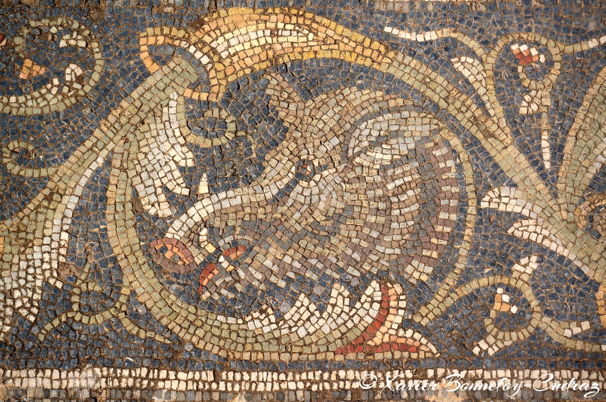 Bulla Regia - Maison de la chasse
Mots-clés: El Hammam geo:lat=36.56043164 geo:lon=8.75298416 geotagged Jundūbah TUN Tunisie Bulla Regia Ruines romaines Ruines Romain Mosaique Jendouba Maison dite d'Amphitrite Maison de la chasse