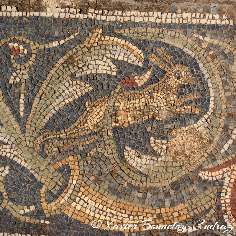 Bulla Regia - Maison de la chasse
Mots-clés: El Hammam geo:lat=36.56043023 geo:lon=8.75298731 geotagged Jundūbah TUN Tunisie Bulla Regia Ruines romaines Ruines Romain Mosaique Jendouba Maison dite d'Amphitrite Maison de la chasse