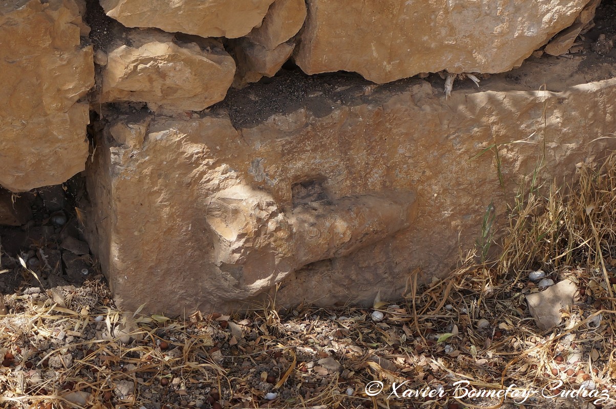 Bulla Regia -Direction du Lupanar
Mots-clés: El Hammam geo:lat=36.56095783 geo:lon=8.75376713 geotagged Jundūbah TUN Tunisie Bulla Regia Ruines romaines Ruines Romain Jendouba Maison dite d'Amphitrite Bas relief