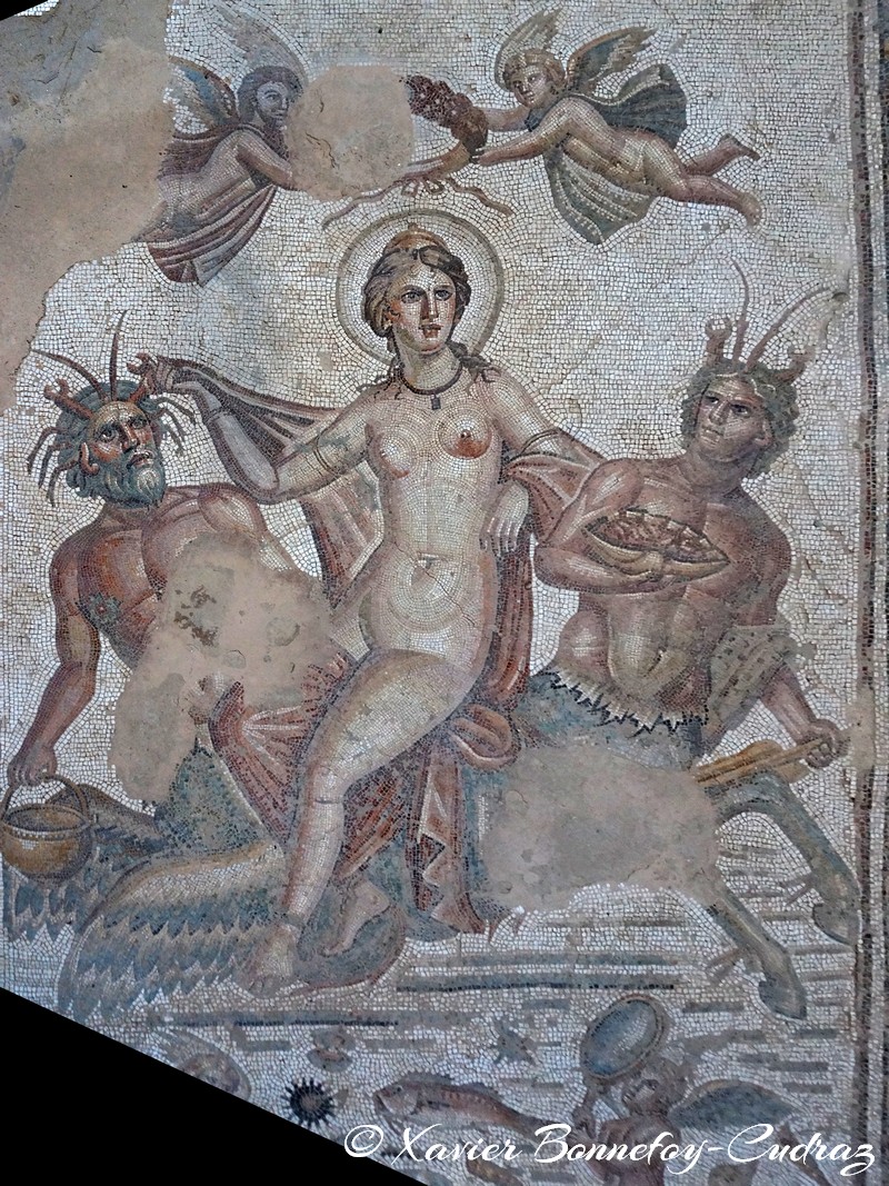 Bulla Regia - Maison dite d'Amphitrite
Mots-clés: El Hammam geo:lat=36.56165568 geo:lon=8.75318160 geotagged Jundūbah TUN Tunisie Bulla Regia Ruines romaines Ruines Romain Mosaique Jendouba Maison dite d'Amphitrite