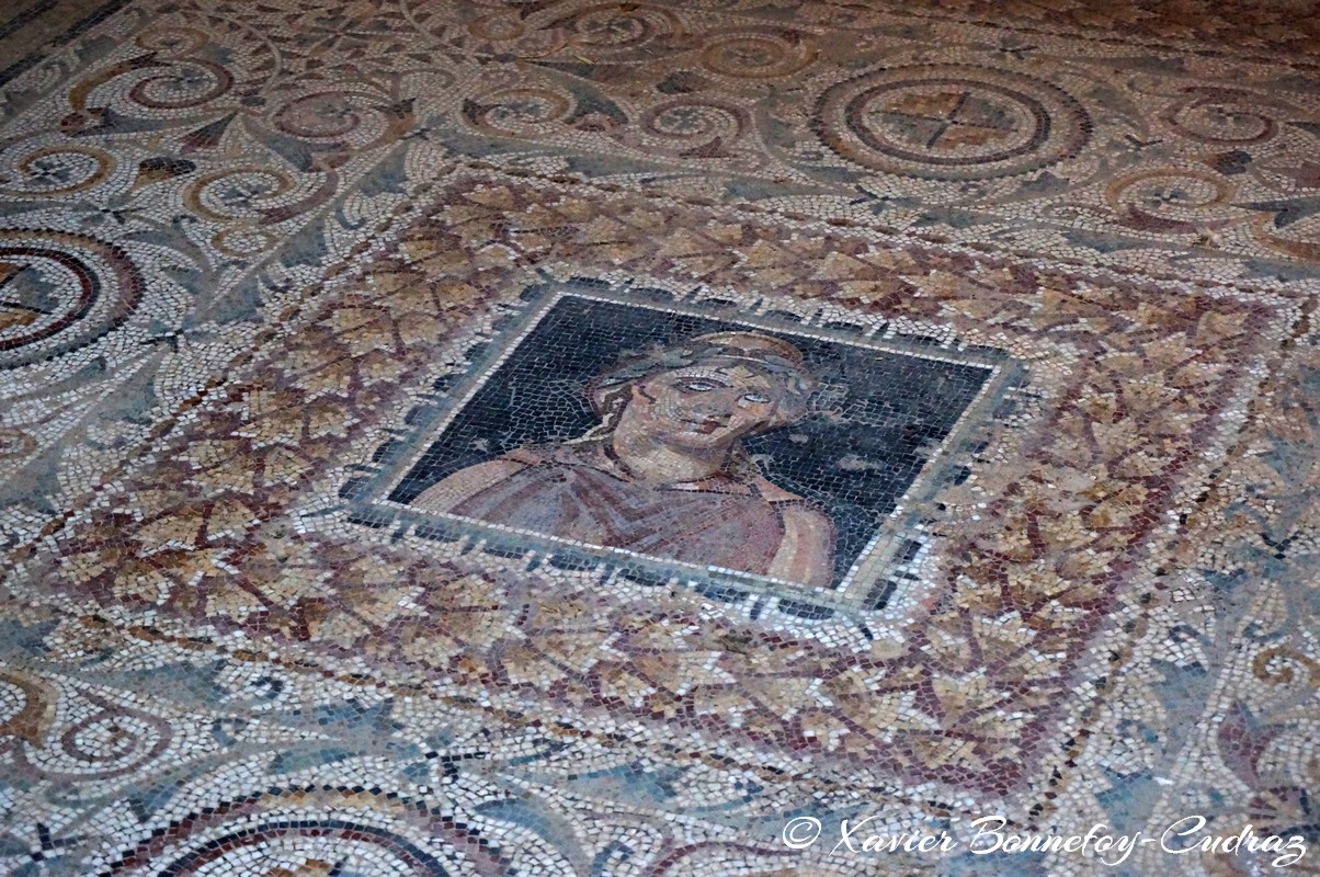 Bulla Regia - Maison dite d'Amphitrite
Mots-clés: El Hammam geo:lat=36.56165217 geo:lon=8.75317721 geotagged Jundūbah TUN Tunisie Bulla Regia Ruines romaines Ruines Romain Mosaique Jendouba Maison dite d'Amphitrite