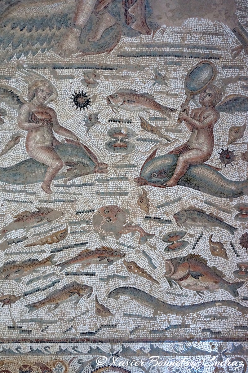 Bulla Regia - Maison dite d'Amphitrite
Mots-clés: El Hammam geo:lat=36.56161155 geo:lon=8.75312643 geotagged Jundūbah TUN Tunisie Bulla Regia Ruines romaines Ruines Romain Mosaique Jendouba Maison dite d'Amphitrite