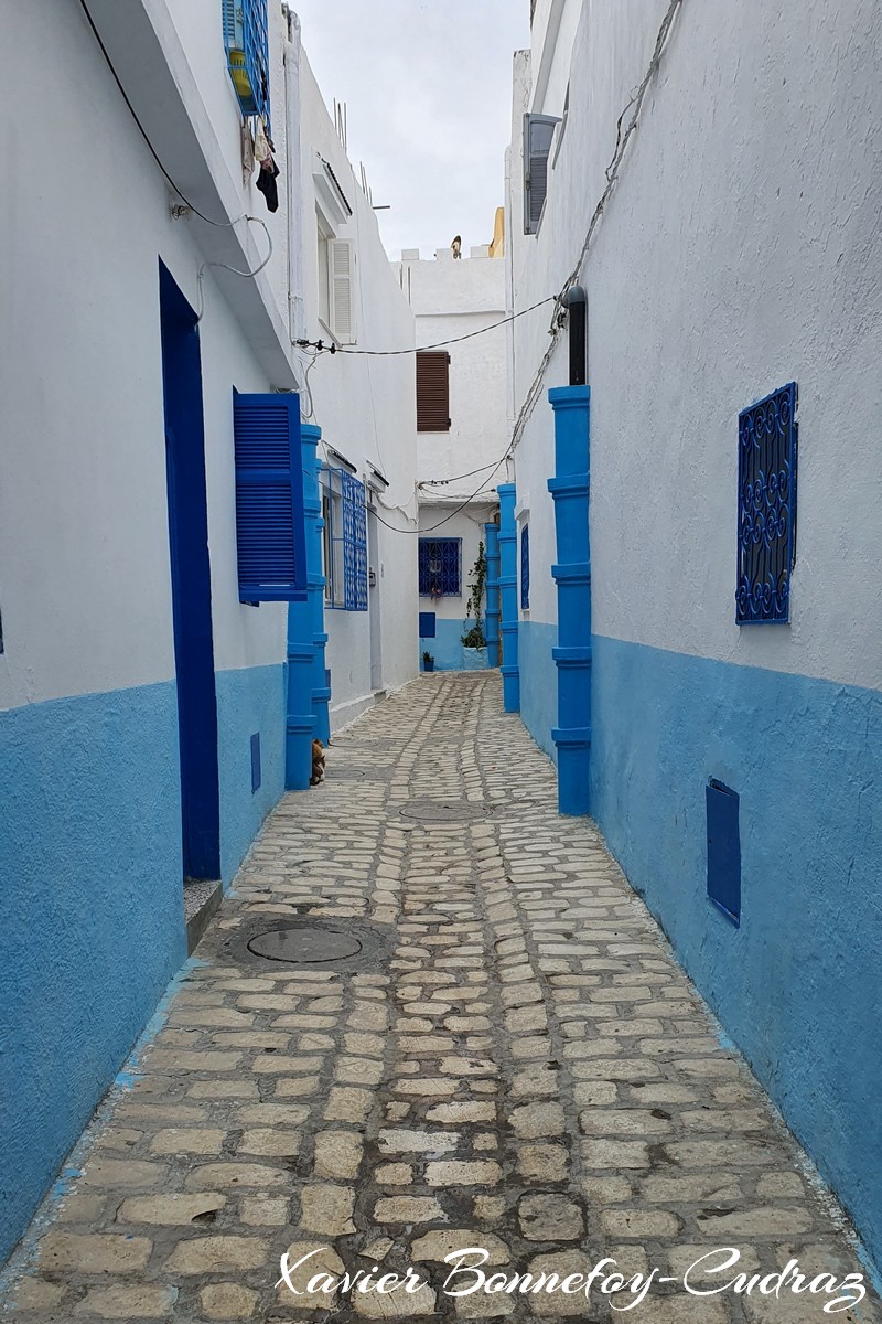 Bizerte - La Medina
Mots-clés: Banzart geo:lat=37.27916123 geo:lon=9.87644345 geotagged La Kasbah TUN Tunisie Bizerte Medina