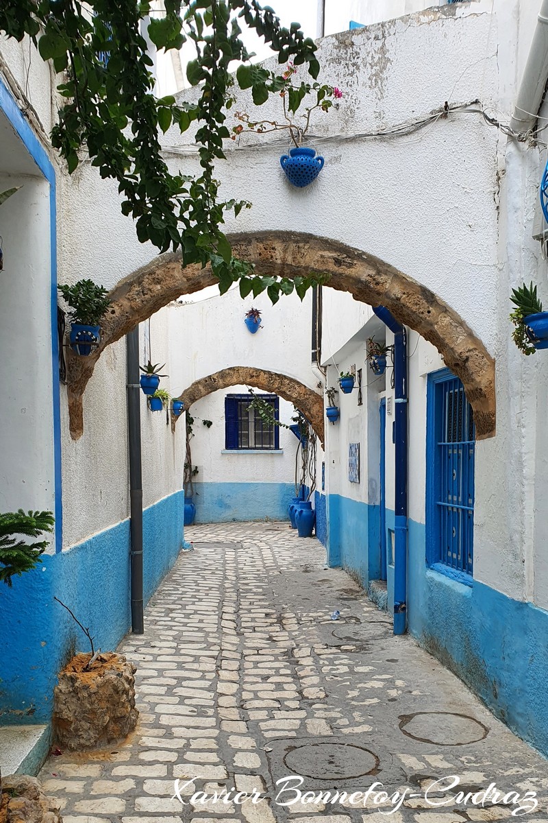 Bizerte - La Medina
Mots-clés: Banzart geo:lat=37.27864262 geo:lon=9.87508759 geotagged La Kasbah TUN Tunisie Bizerte Medina