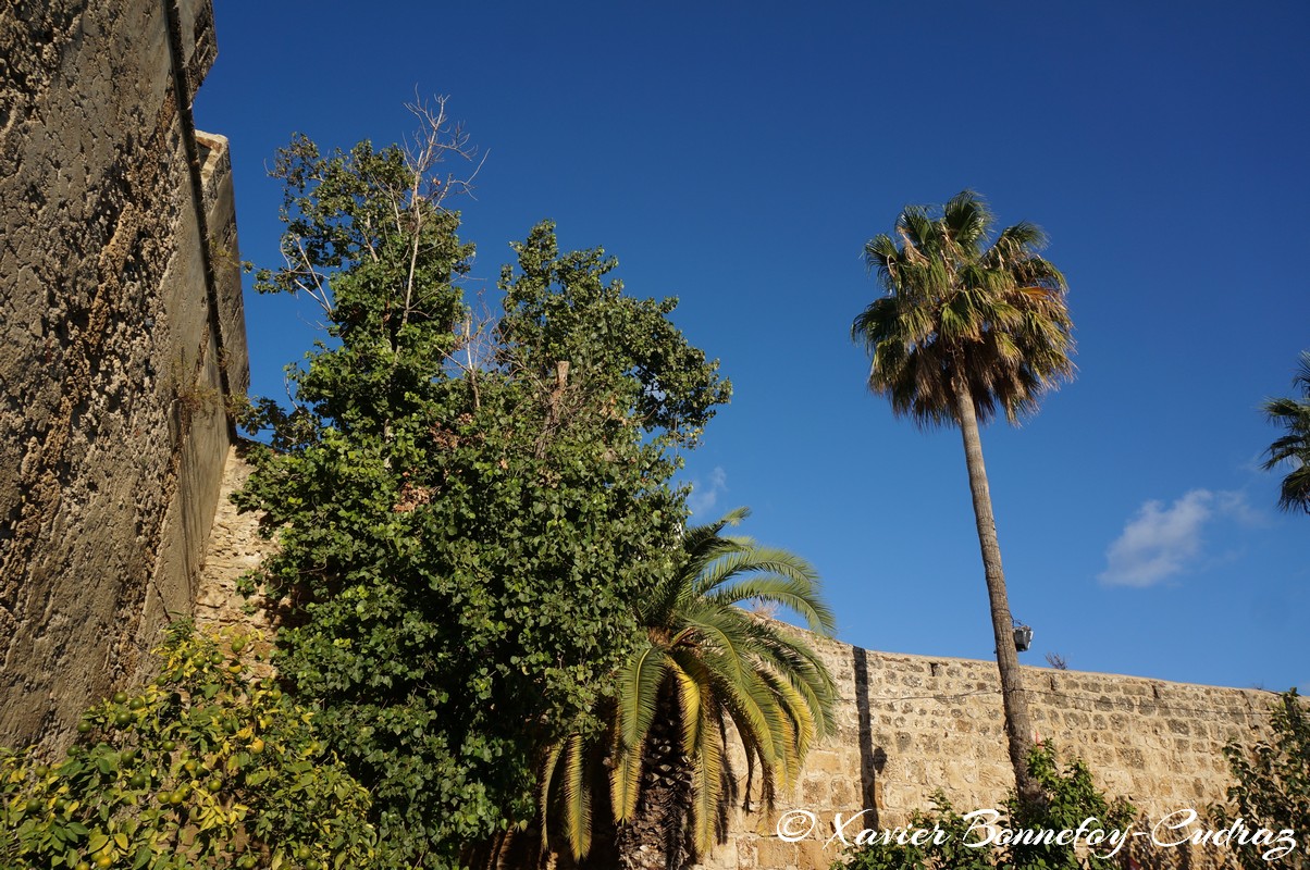 Bizerte - La Medina
Mots-clés: Banzart geo:lat=37.27890192 geo:lon=9.87441301 geotagged La Kasbah TUN Tunisie Bizerte Medina Palmier