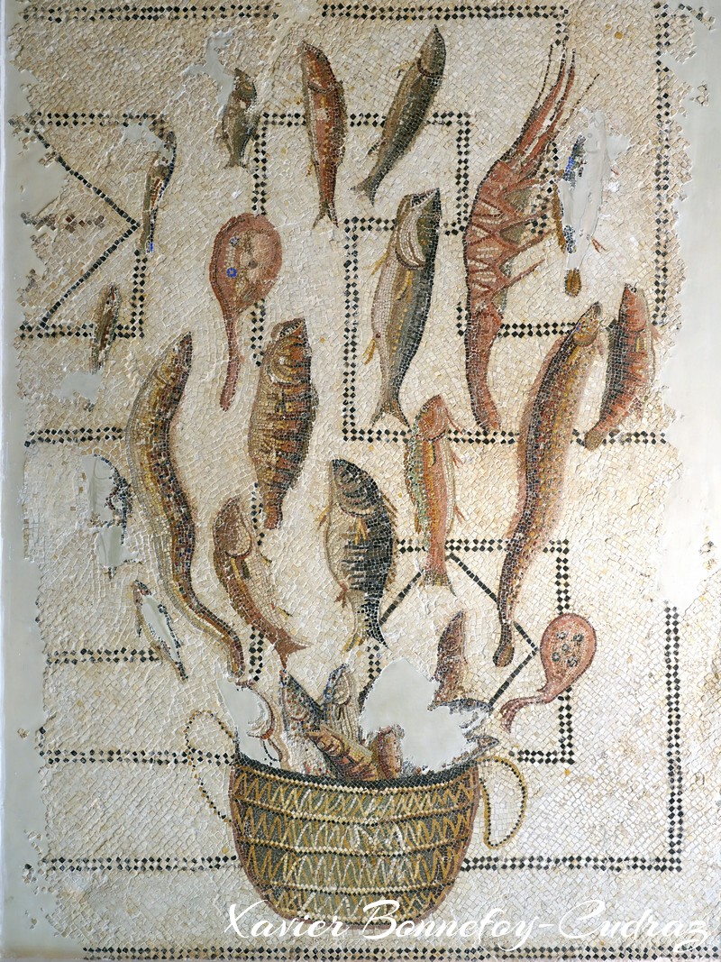 Sousse - La Medina - Musee archeologique (Kasbah)
Mots-clés: geo:lat=35.82260009 geo:lon=10.63557297 geotagged Roman Province of Byacena Sūsah TUN Tunisie Sousse La Medina patrimoine unesco Musee archeologique Musee archeologique de Sousse Mosaique