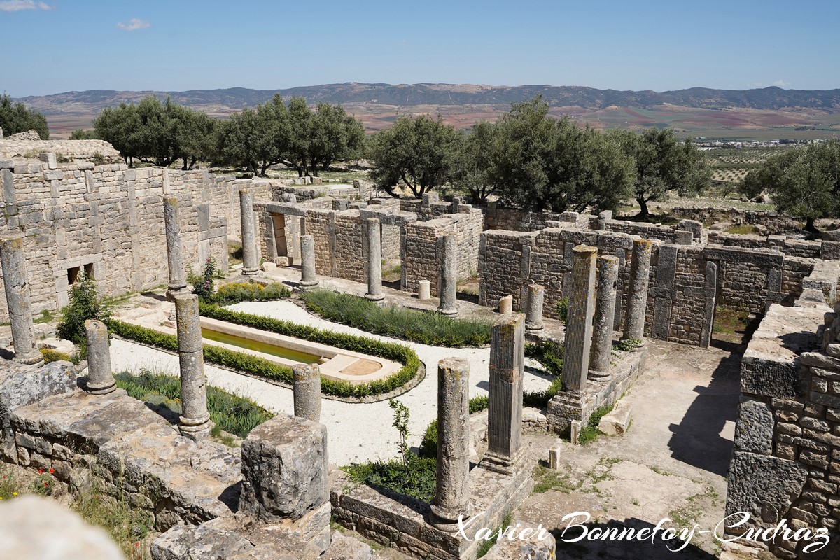 Dougga - Maison du Trifolium
Mots-clés: Bājah Dougga geo:lat=36.42163209 geo:lon=9.21985544 geotagged TUN Tunisie Beja Thugga Ruines Ruines romaines patrimoine unesco Maison du Trifolium