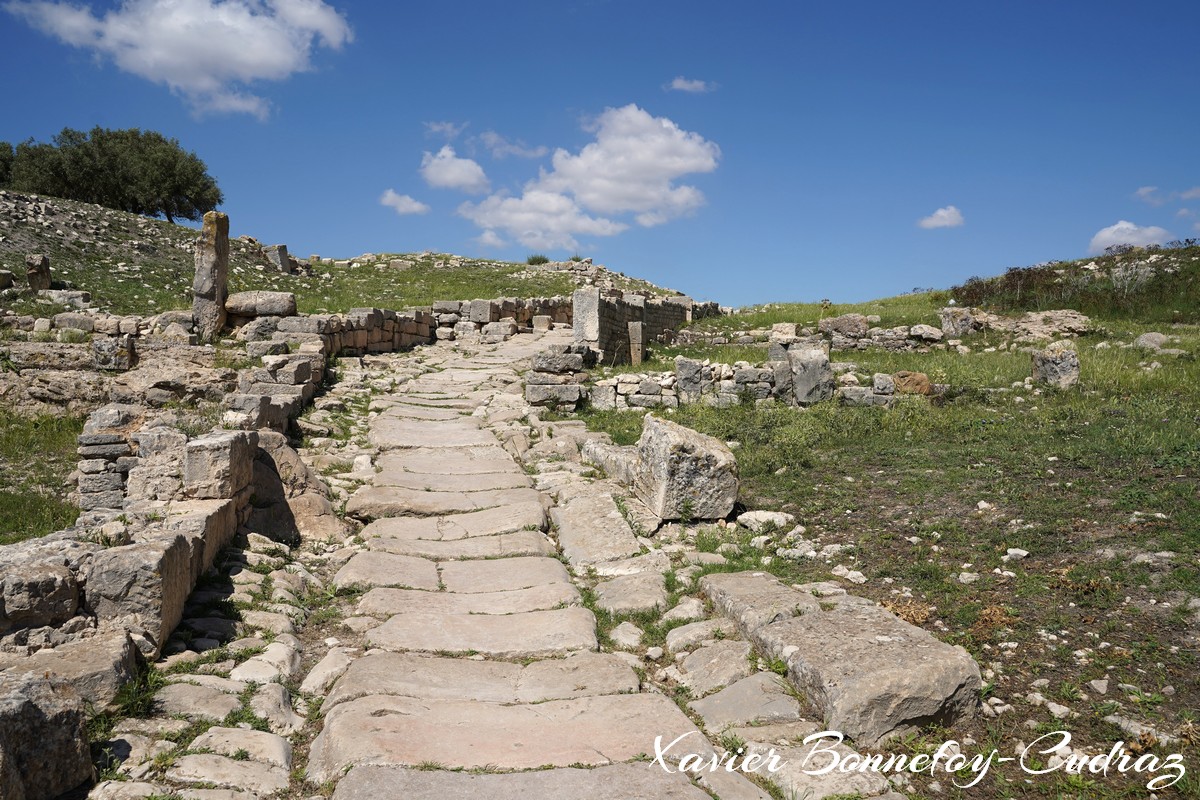 Dougga
Mots-clés: Bājah Dougga geo:lat=36.42267993 geo:lon=9.21866387 geotagged TUN Tunisie Beja Thugga Ruines Ruines romaines patrimoine unesco