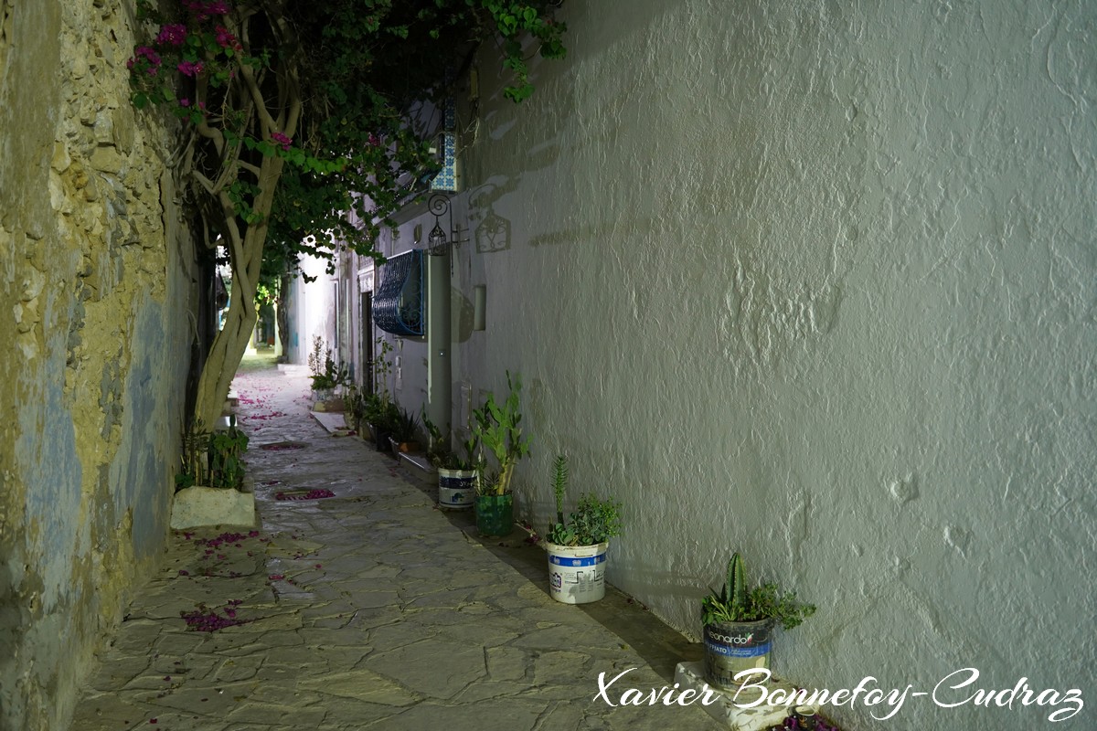 Hammamet by Night - Medina
Mots-clés: geo:lat=36.39325184 geo:lon=10.61284259 geotagged Hammamet Nābul TUN Tunisie Nabeul Nuit Medina