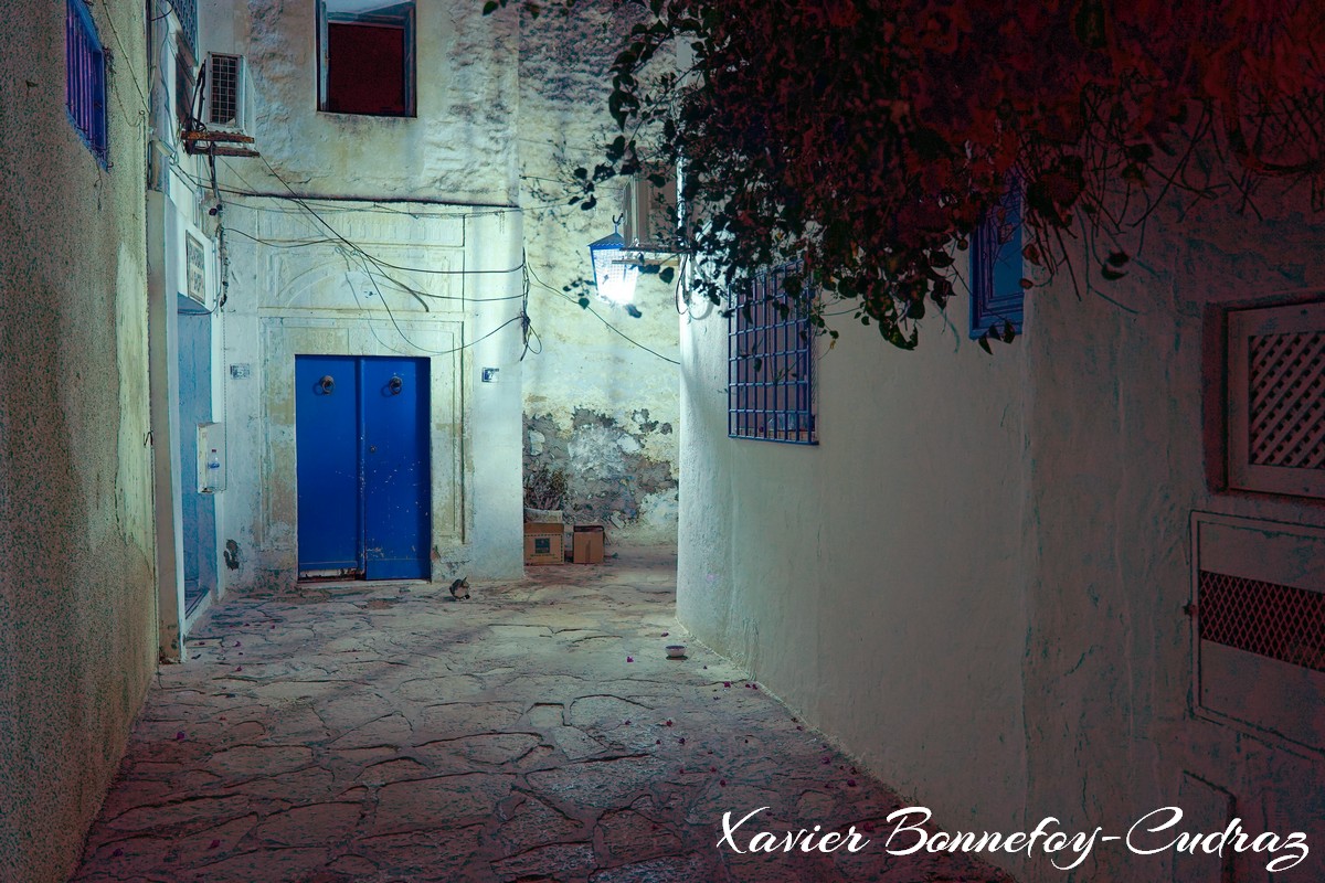 Hammamet by Night - Medina
Mots-clés: geo:lat=36.39430762 geo:lon=10.61301827 geotagged Hammamet Nābul TUN Tunisie Nabeul Nuit Medina Porte