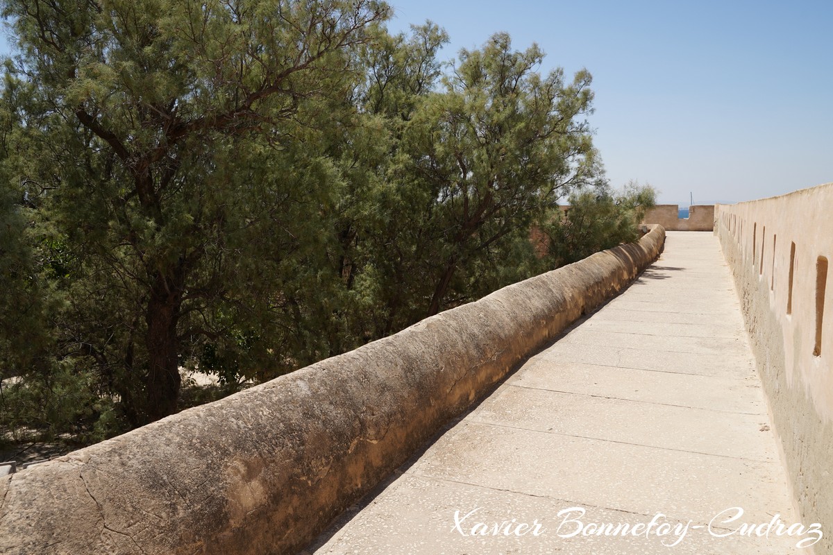 Hammamet - Kasbah
Mots-clés: geo:lat=36.39468167 geo:lon=10.61256565 geotagged Hammamet Nābul TUN Tunisie Nabeul Kasbah Medina Fort Arbres
