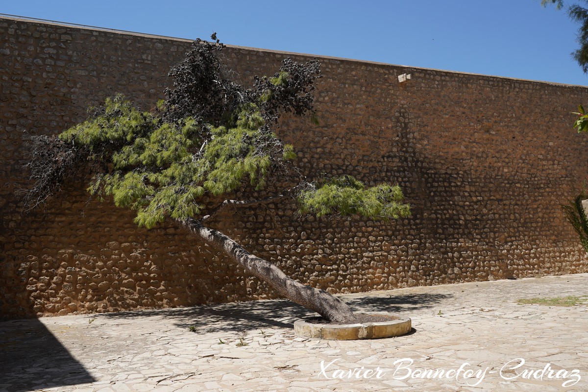 Hammamet - Kasbah
Mots-clés: geo:lat=36.39446955 geo:lon=10.61234504 geotagged Hammamet Nābul TUN Tunisie Nabeul Kasbah Medina Fort Arbres
