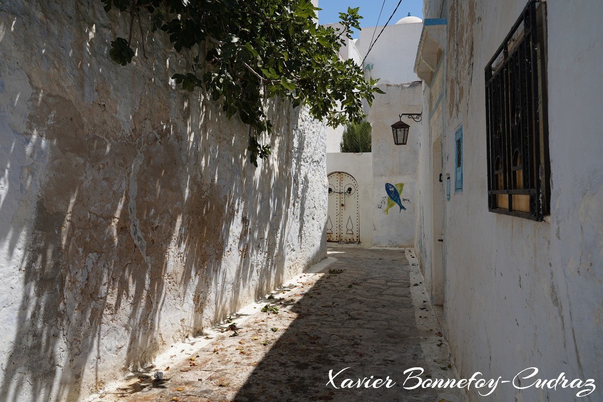 Hammamet - Medina
Mots-clés: geo:lat=36.39326263 geo:lon=10.61268769 geotagged Hammamet Nābul TUN Tunisie Nabeul Medina