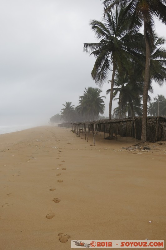Mondoukou
Mots-clés: plage Palmier CÃ´te d'Ivoire Mondoukou