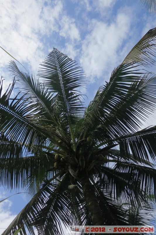 Grand-Bassam
Mots-clés: CÃ´te d'Ivoire geo:lat=5.19461630 geo:lon=-3.73796940 geotagged Palmier Grand Bassam