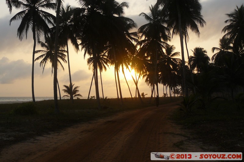 Assinie - Coucher de Soleil
Mots-clés: sunset Palmier