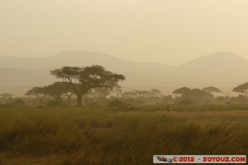 Amboseli National Park - Sunset
Mots-clés: Amboseli geo:lat=-2.70026472 geo:lon=37.30296996 geotagged KEN Kenya Rift Valley Amboseli National Park sunset Arbres