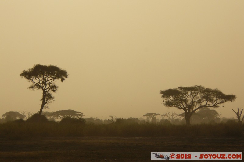 Amboseli National Park - Sunset
Mots-clés: Amboseli geo:lat=-2.70153517 geo:lon=37.30724612 geotagged KEN Kenya Rift Valley Amboseli National Park sunset Arbres