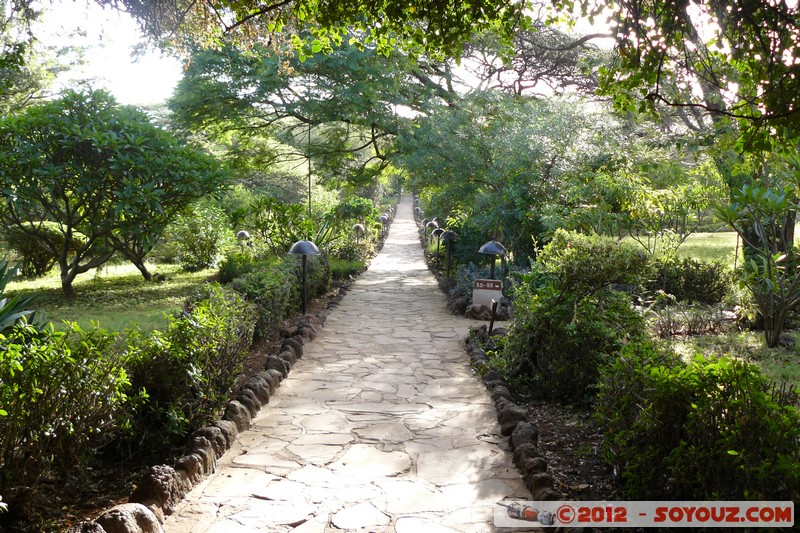 Amboseli Sopa Lodge
Mots-clés: geo:lat=-2.81259281 geo:lon=37.50303268 geotagged KEN Kenya Kimana Rift Valley