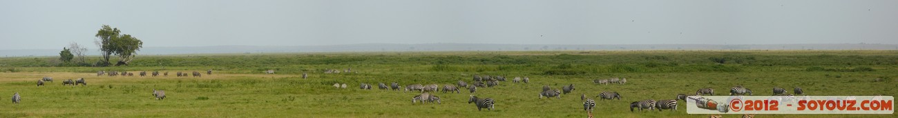 Amboseli National Park - Zebra and Thomson's gazelle - Panorama
Mots-clés: Amboseli geo:lat=-2.70689723 geo:lon=37.31804293 geotagged KEN Kenya Rift Valley Thomson's gazelle animals zebre panorama