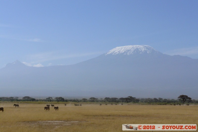 Amboseli National Park - Kilimandjaro and Zebra
Mots-clés: Amboseli geo:lat=-2.69343766 geo:lon=37.29174628 geotagged KEN Kenya Rift Valley Arbres volcan Kilimandjaro animals zebre