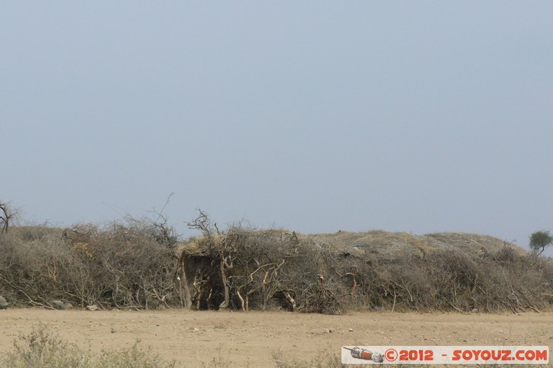 Amboseli - Masai Village
Mots-clés: Amboseli geo:lat=-2.60632284 geo:lon=37.34751293 geotagged KEN Kenya Rift Valley