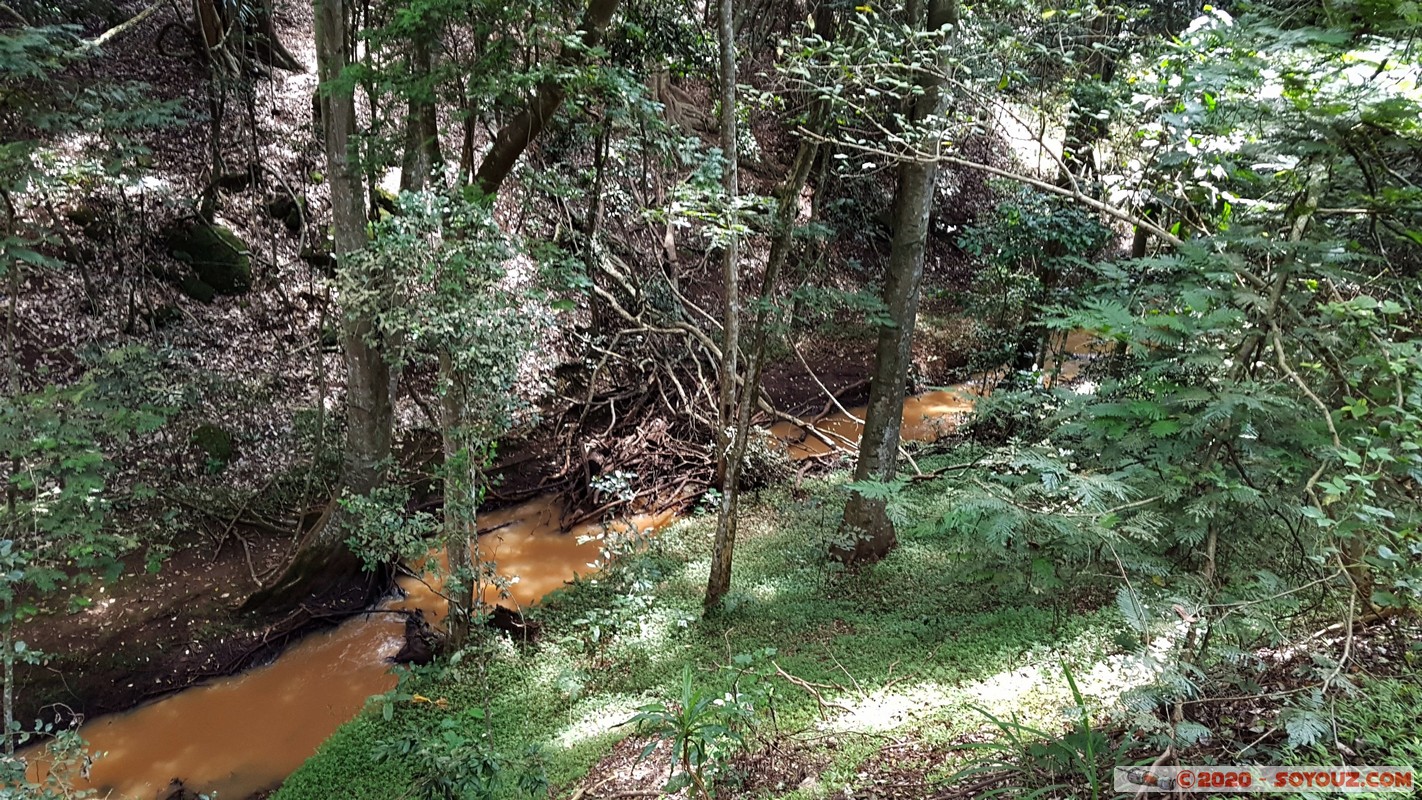 Nairobi - Karura Forest
Mots-clés: KEN Kenya Muthaiga Nairobi Area Nairobi Karura Forest Riviere