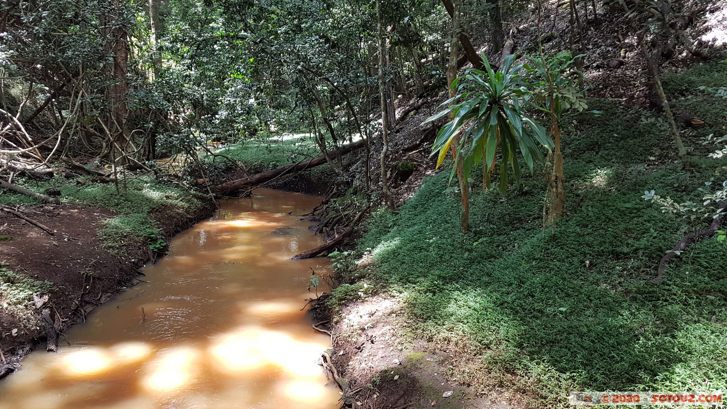 Nairobi - Karura Forest
Mots-clés: KEN Kenya Muthaiga Nairobi Area Nairobi Karura Forest Riviere